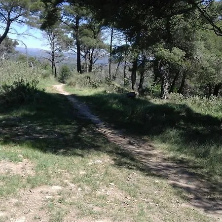 Via Nuova Sant Antonio דירה